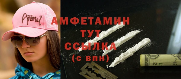амф Карпинск