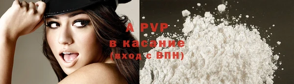 мет Касимов