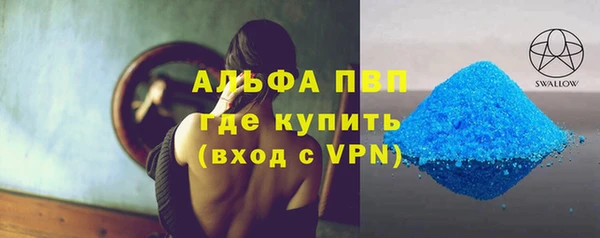 мет Касимов