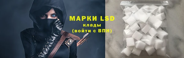 мет Касимов