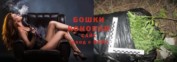 гидра Карталы