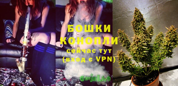 гидра Карталы