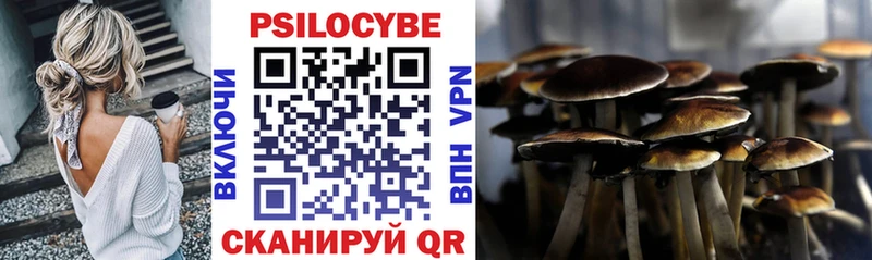 Псилоцибиновые грибы GOLDEN TEACHER  Купить  Мичуринск 